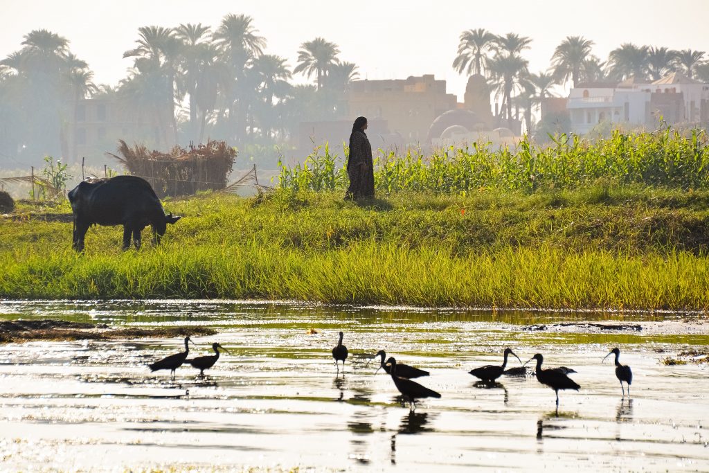 Nile River - Luxor, Egypt